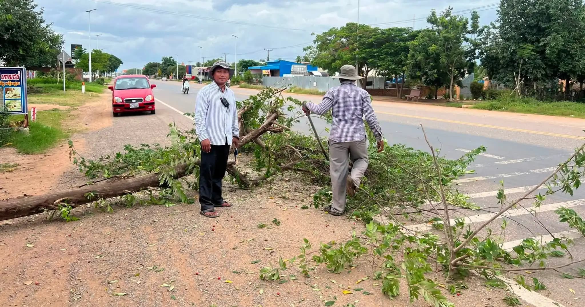 ការិយាល័យជំនាញក្រុងពោធិ៍សាត់ ចុះកាត់តដើមឈើ និងរៀបចំសណ្តាប់ធ្នាប់តាមបណ្តោយផ្លូវជាតិលេខ៥ ក្នុងសង្កាត់ស្វាយអាត់