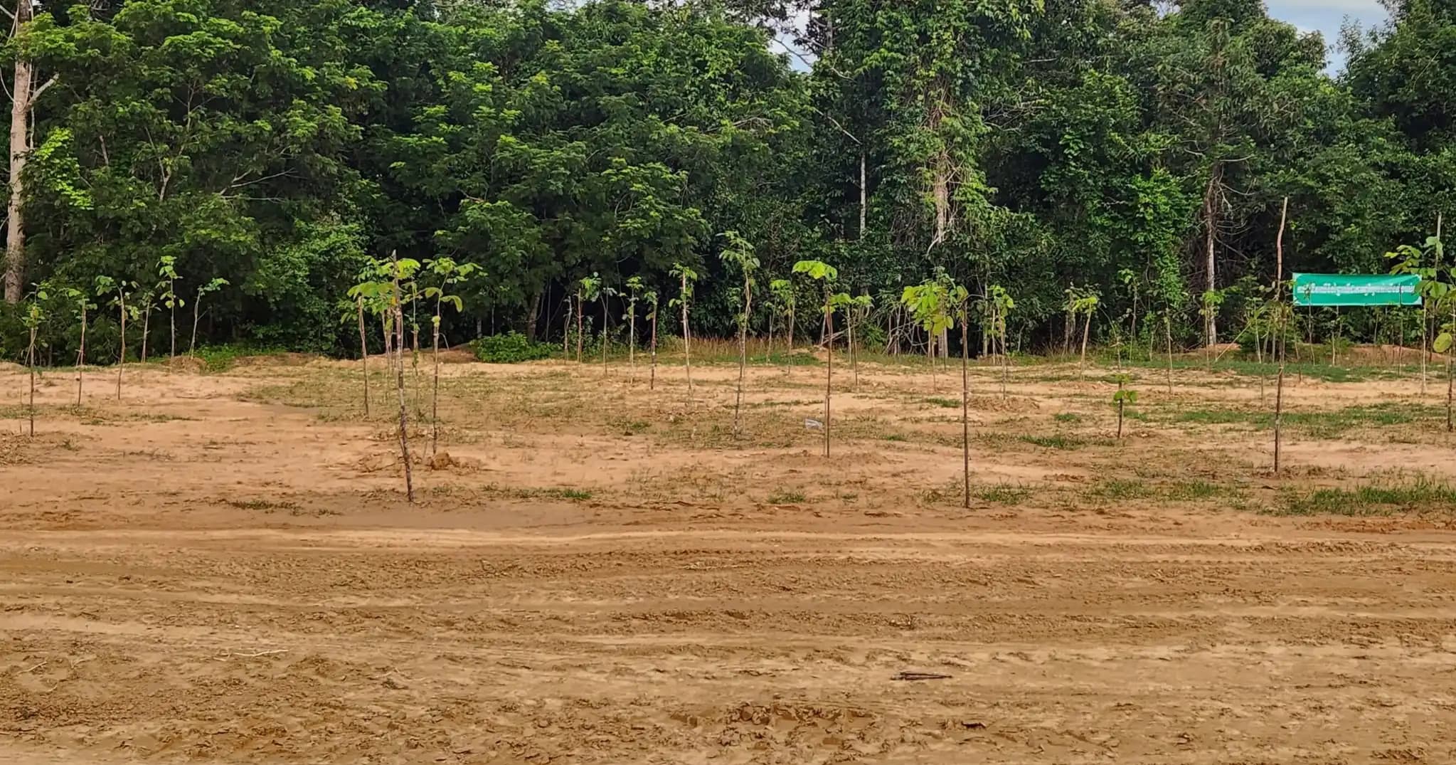 លោក អ៊ន សុផល្លា ចុះពិនិត្យ និងសម្រួលផ្លូវធ្វើដំណើរឆ្ពោះទៅទីតាំងប្រារព្ធពិធីរុក្ខទិវា ក្នុងស្រុកក្រគរ
