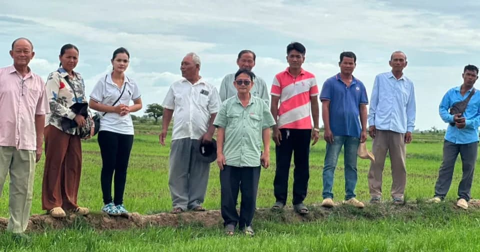 ស្ថានភាពស្រូវវស្សាមិនទាន់រងការខូចខាតឡើយ ខណៈមន្ទីរជំនាញកំពុងបើកទឹក និងត្រៀមទប់ទល់នឹង El Niño