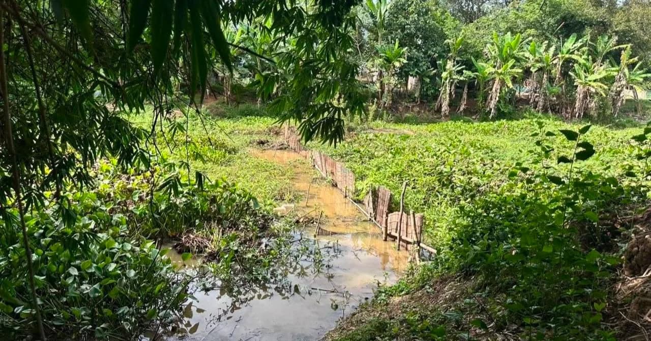 លោក តុល សុភក្តិ ដឹកនាំក្រុមការងារចុះត្រួតពិនិត្យ និងណែនាំឱ្យរុះរើឧបករណ៍នេសាទដែលបិទខ្ទប់ផ្លូវទឹក ក្នុងស្រុកកណ្តៀង