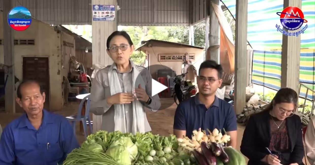 ផ្សារទំនើបធំមួយនៅប្រទេសកម្ពុជាយើង បានចុះពិនិត្យការដាំដុះ ដើម្បីទិញដំណាំខ្ញី និងស្ពៃក្ដោប របស់ប្រជាកសិករនៅកោះខ្សាច់ទន្លា ស្ថិតនៅស្រុកស្អាង ខេត្តកណ្ដាល ដែលកំពុងប្រឈមនឹងការលិចទឹក នារដូវទឹកឡើងខាងមុខនេះ