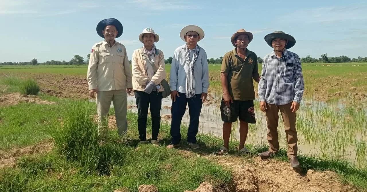 មន្ត្រីជំនាញចុះពិនិត្យ និងវាយតម្លៃផលប៉ះពាល់ដំណាំស្រូវវស្សា ក្នុងសង្កាត់ផ្ទះព្រៃ និងឃុំបឹងបត់កណ្ដោល