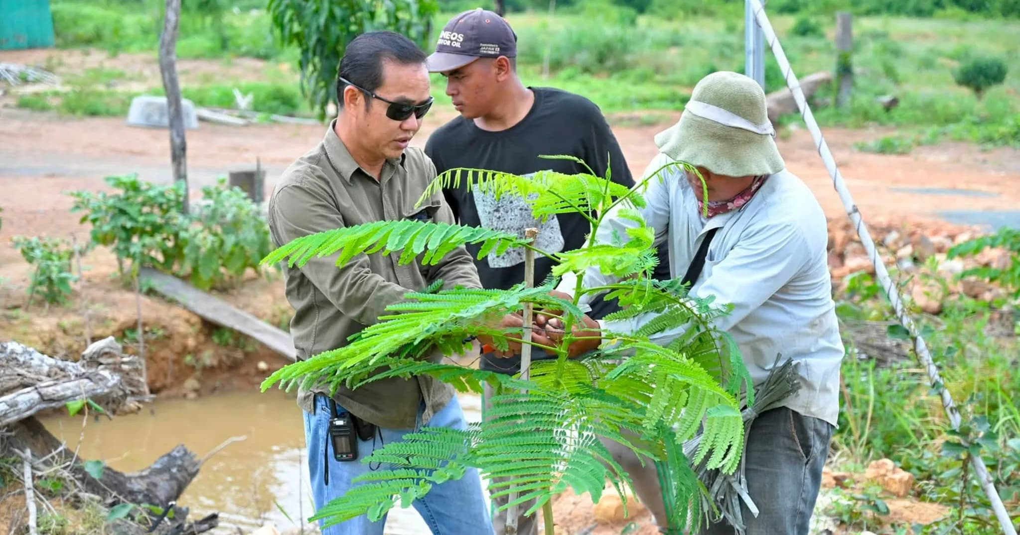 លោក ធាង ឡេង អភិបាលស្រុកវាលវែង ដឹកនាំក្រុមការងារចុះពិនិត្យ និងថែទាំដើមក្ងោកតាមដងផ្លូវទៅកាន់តំបន់ធ្លាក់ភ្នំទំព័រ