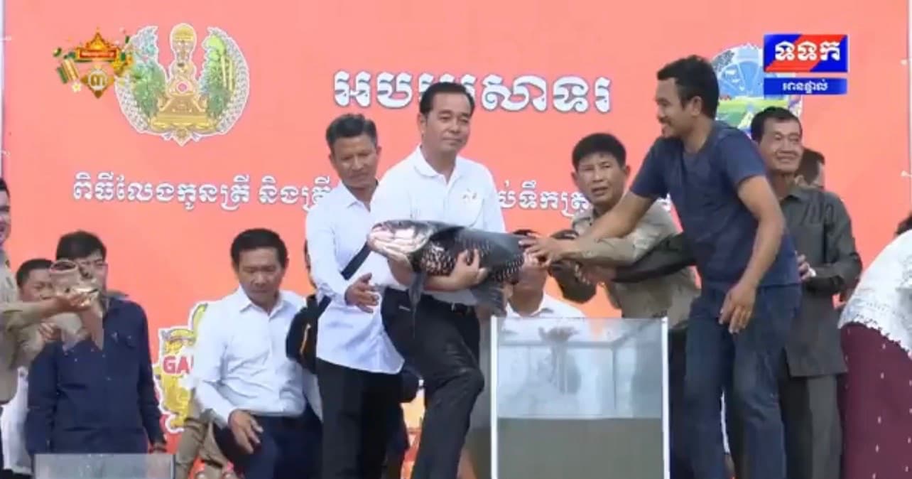 អភិបាលខេត្តកំពង់ចាម ដឹកនាំមន្រ្តីរាជការ អាជ្ញាធរមូលដ្ឋាន និងប្រជាពលរដ្ឋ លែងកូនត្រី និងត្រីមេពូជជាង ២០ម៉ឺនក្បាល ចូលក្នុងបឹងធម្មជាតិទំនប់ជ្រោយចេក ស្រុកកំពង់សៀម