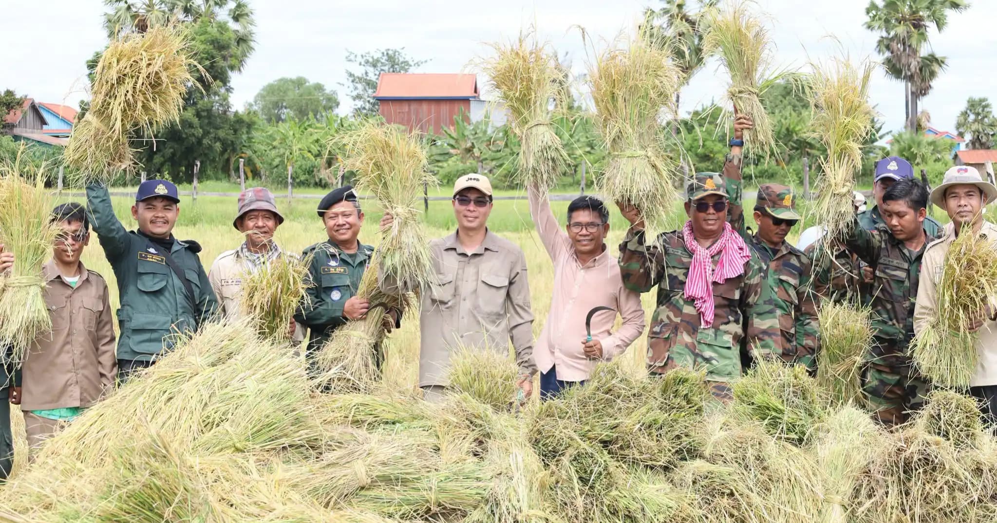 អាជ្ញាធរស្រុកភ្នំក្រវាញ ចុះជួយប្រមូលផលស្រូវសែនក្រអូបជូនប្រជាពលរដ្ឋក្នុងឃុំសន្ត្រែ