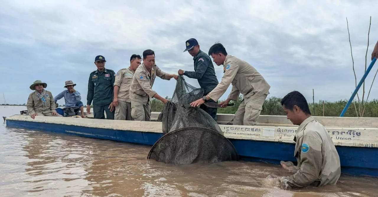 ជំនាញរដ្ឋបាលជលផលកំពង់ចាម សហការជាមួយ អាជ្ញាធរមូលដ្ឋាន បង្ក្រាបបទល្មើសជលផល ចំនួន ០៣ករណី នៅក្នុងភូមិសាស្រ្តស្រុកកងមាស និងស្រុកបាធាយ
