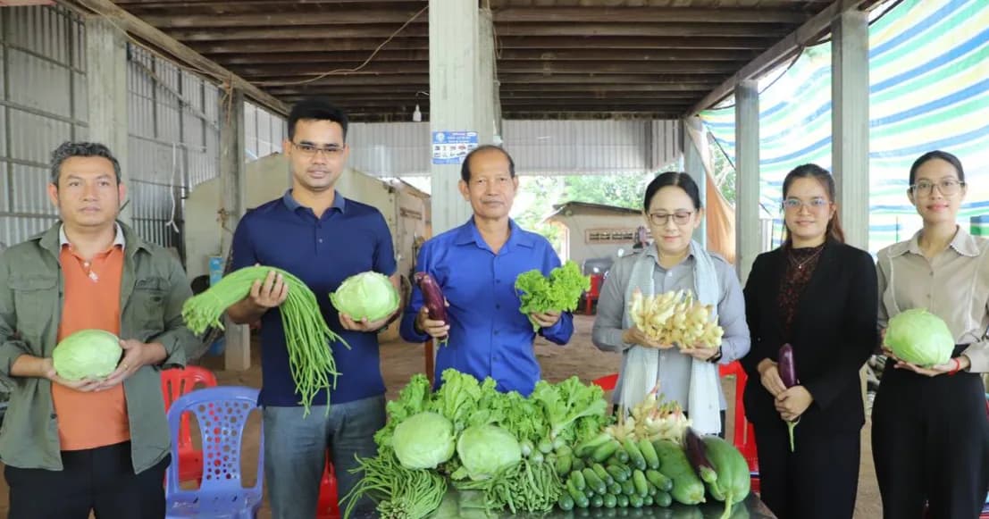 ផ្សារទំនើបធំមួយនៅប្រទេសកម្ពុជាយើង បានចុះពិនិត្យការដាំដុះ ដើម្បីទិញដំណាំខ្ញី និងស្ពៃក្ដោបរបស់ប្រជាកសិករនៅកោះខ្សាច់ទន្លា ស្ថិតនៅស្រុកស្អាង ខេត្តកណ្ដាល